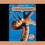 Octopuses