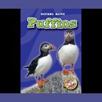 Puffins