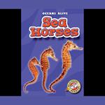 Sea Horses