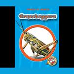 Grasshoppers