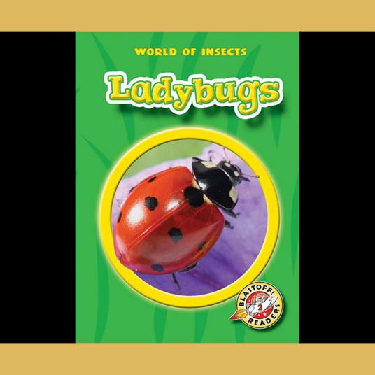 Ladybugs