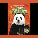 Giant Pandas