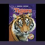 Tigers