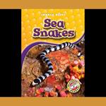 Sea Snakes