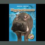 Hippopotamuses