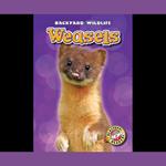 Weasels