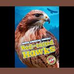 Red-tailed Hawks