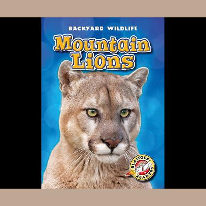 Mountain Lions