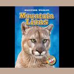 Mountain Lions