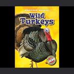 Wild Turkeys