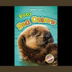 Baby Sea Otters