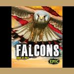 Falcons