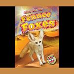 Fennec Foxes