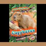 Capybaras