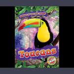 Toucans