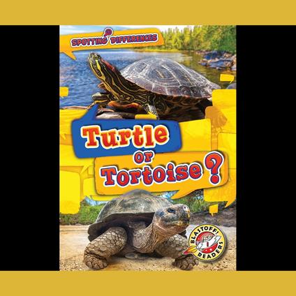 Turtle or Tortoise?