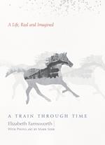 A Train through Time