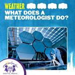 What Does A Meteorologist Do?
