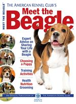 Meet the Beagle