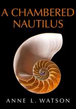 A Chambered Nautilus