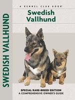 Swedish Vallhund