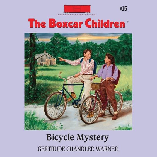 Bicycle Mystery