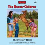 The Mystery Horse