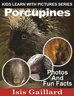 Porcupines Photos and Fun Facts for Kids