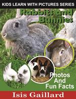 Rabbits and Bunnies Photos and Fun Facts for Kids