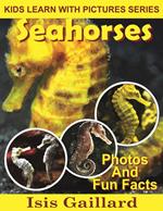 Seahorses Photos and Fun Facts for Kids