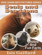 Seals and Sea Lions Photos and Fun Facts for Kids