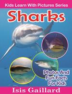 Sharks Photos and Fun Facts for Kids