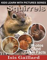 Squirrels Photos and Fun Facts for Kids