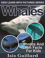 Whales Photos and Fun Facts for Kids