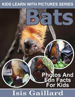 Bats Photos and Fun Facts for Kids