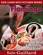 Flamingo Photos and Fun Facts for Kids