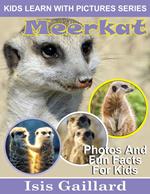 Meerkat Photos and Fun Facts for Kids