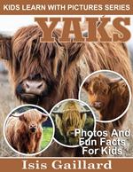 Yaks Photos and Fun Facts for Kids