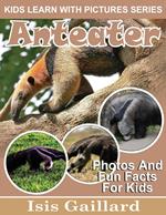 Anteater Photos and Fun Facts for Kids