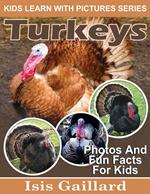 Turkey Photos and Fun Facts for Kids