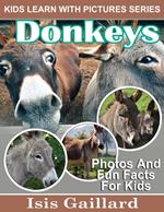 Donkeys Photos and Fun Facts for Kids