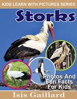 Storks Photos and Fun Facts for Kids