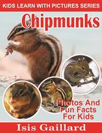 Chipmunks Photos and Fun Facts for Kids