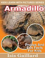 Armadillo Photos and Fun Facts for Kids