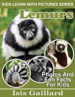 Lemurs Photos and Fun Facts for Kids