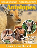 Antelopes Photos and Fun Facts for Kids