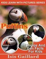 Puffins Photos and Fun Facts for Kids