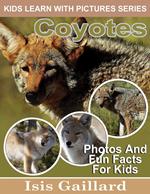 Coyotes Photos and Fun Facts for Kids