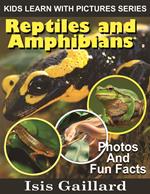 Reptiles and Amphibians Photos and Fun Facts for Kids