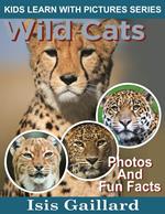 Wild Cats Photos and Fun Facts for Kids